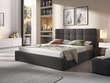 SWIFT lova, 160x200 cm kaina ir informacija | Lovos | pigu.lt