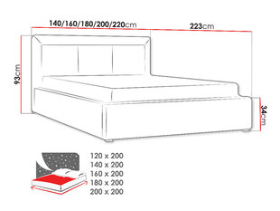 Moden lova 200x200 cm su ištraukiamu pagrindu kaina ir informacija | Lovos | pigu.lt