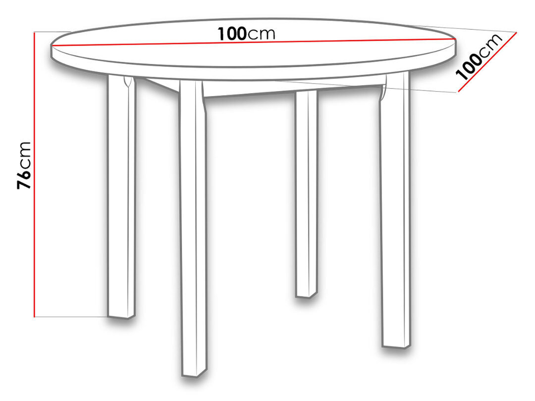 Valgomojo stalas Poli kaina ir informacija | Virtuvės ir valgomojo stalai, staliukai | pigu.lt