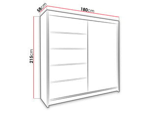 Шкаф с раздвижными дверями Talin III цена и информация | Шкафы | pigu.lt