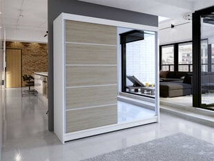 Шкаф с раздвижными дверями Talin III + LED цена и информация | Шкафы | pigu.lt