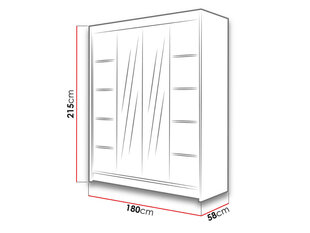 Шкаф с раздвижными дверями Talin V цена и информация | Шкафы | pigu.lt