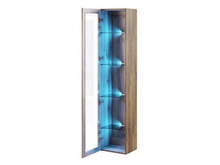 Витрина Vigo 180 см + светодиодное освещение цена и информация | Шкафы | pigu.lt