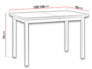 Раздвижной обеденный стол цена и информация | Кухонные и обеденные столы | pigu.lt