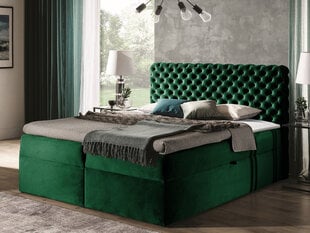 Kontinentinė lova su antčiužiniu Black Red White Chesterfield, žalia kaina ir informacija | Lovos | pigu.lt