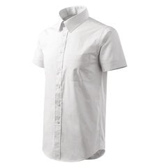 Шикарная рубашка для мужчин цена и информация | Мужские рубашки | pigu.lt