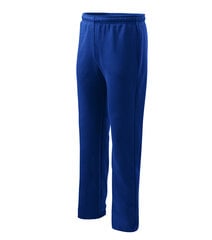 Комфортные тренировочные штаны для мужчин цена и информация | Мужская спортивная одежда | pigu.lt