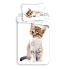 Комплект постельного белья Kitten 140 x 200 см + наволочка 70 x 90 см цена и информация | Комплекты постельного белья | pigu.lt