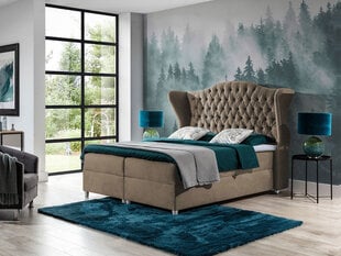 Континентальная кровать Livia 160x200см цена и информация | Кровати | pigu.lt