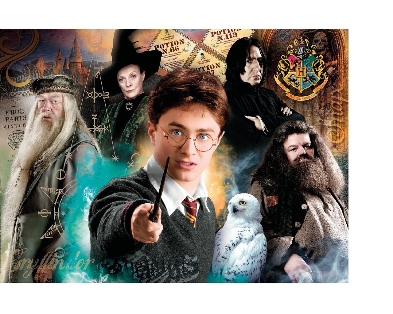 Dėlionė Clementoni Harry Potter (Haris Poteris), 35083, 500 dalių, 8 m.+ цена и информация | Dėlionės (puzzle) | pigu.lt