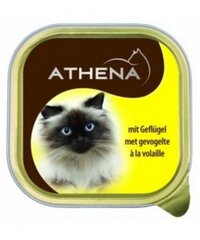 Athena kačių konservai su paukštiena 100g 20vnt. pakuotė kaina ir informacija | Konservai katėms | pigu.lt