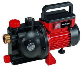 Garden Pump 1000W GC-GP 1046N Einhell цена и информация | Насосы для сада | pigu.lt