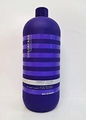 Plaukų šampūnas su violetiniais pigmentais Elgon Colorcare Silver, 300 ml kaina ir informacija | Šampūnai | pigu.lt