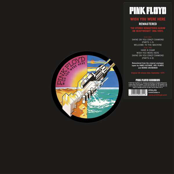 Vinilinė plokštelė Pink Floyd „Wish You Were Here“ kaina ir informacija | Vinilinės plokštelės, CD, DVD | pigu.lt