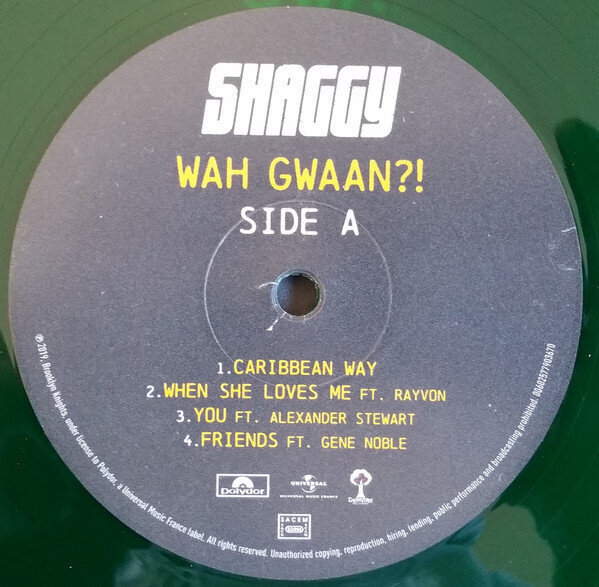 Vinilinė plokštelė Shaggy „Wah Gwaan?!“ kaina ir informacija | Vinilinės plokštelės, CD, DVD | pigu.lt