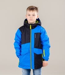 Детская куртка Icepeak Lowden 50065-6*350, синий/тёмно-синий 6438488796421, 180 г  цена и информация | Зимняя одежда для детей | pigu.lt
