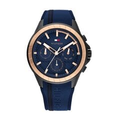 Мужские часы Tommy Hilfiger 1791860 цена и информация | Мужские часы | pigu.lt