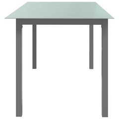 Sodo stalas, 150x90x74 cm, pilkas цена и информация | Садовые столы, столики | pigu.lt
