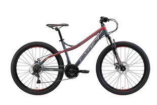 Kalnų dviratis Bikestar Sport Hardtail 26", pilkas kaina ir informacija | Dviračiai | pigu.lt