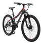 Kalnų dviratis Bikestar Sport Hardtail 26", pilkas цена и информация | Dviračiai | pigu.lt