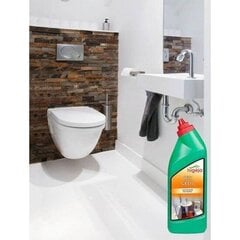 Higėja WC valiklis - gelis, 700 ml цена и информация | Очистители | pigu.lt