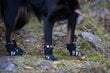 Apsauginiai batai šunims Rukka, juodi цена и информация | Drabužiai šunims | pigu.lt