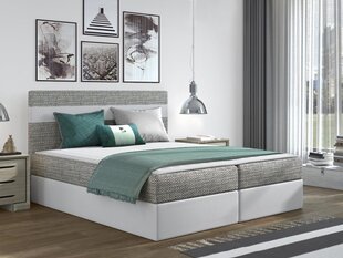 Континентальная кровать Modena 160x200см цена и информация | Кровати | pigu.lt