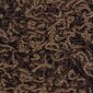 Narma shaggy kilimas Roma pruun, 80x150 cm kaina ir informacija | Kilimai | pigu.lt