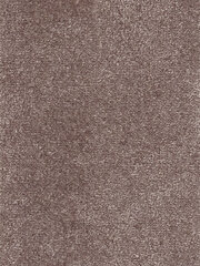 Narma kilimas Eden, linen, 200 x 300 cm kaina ir informacija | Kilimai | pigu.lt