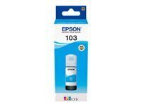 Epson C13T00S 70 ml kaina ir informacija | Kasetės rašaliniams spausdintuvams | pigu.lt