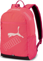 Kuprinė Puma Phase II Pink kaina ir informacija | Kuprinės ir krepšiai | pigu.lt