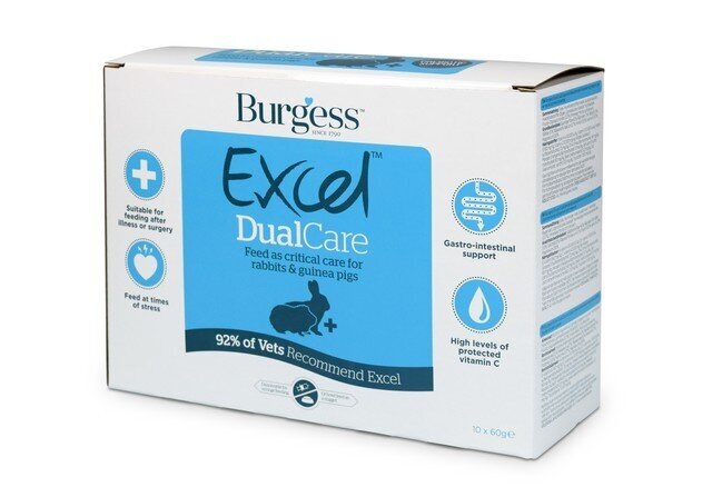 Bugess Excel maisto papildas triušiams ir jūrų kiaulytėms Dualcare, 60 g, N10 kaina ir informacija | Graužikų ir triušių maistas | pigu.lt