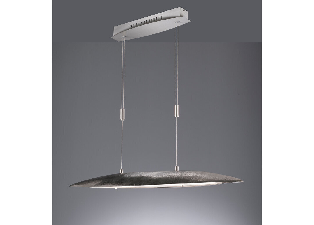 Fischer&Honsel LED lubų šviestuvas Colmar цена и информация | Lubiniai šviestuvai | pigu.lt