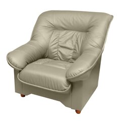 Кресло Spencer K, песочное цена и информация | Кресла в гостиную | pigu.lt