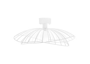 Globen Lighting lubinis šviestuvas Ray kaina ir informacija | Lubiniai šviestuvai | pigu.lt