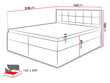 Kontinentinė lova Nele, 160x200 cm, ruda kaina ir informacija | Lovos | pigu.lt