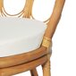 Valgomojo kėdė su pagalvėle, ruda цена и информация | Virtuvės ir valgomojo kėdės | pigu.lt