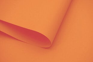 Настенный тканевый ролет Dekor 100x170 см, d-07 оранжевый цена и информация | Рулонные шторы | pigu.lt