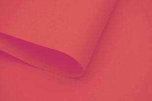 Настенный тканевый ролет Dekor 120x170 см, d-09 Красный цена и информация | Рулонные шторы | pigu.lt