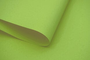 Настенный тканевый ролет Dekor 100x170 см, d-11 зеленый цена и информация | Рулонные шторы | pigu.lt