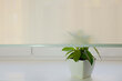 Sieninis roletas su audiniu Dekor 150x170 cm, d-11 Žalia цена и информация | Roletai | pigu.lt