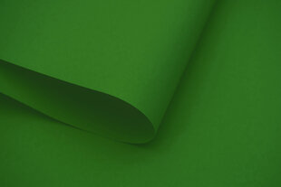 Настенный тканевый ролет Dekor 100x170 см, d-13 зеленый цена и информация | Рулонные шторы | pigu.lt