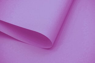 Sieninis roletas su audiniu Dekor 100x170 cm, d-23 Violetinė kaina ir informacija | Roletai | pigu.lt
