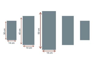 Penkių dalių reprodukcija Žydinčios sakuros kaina ir informacija | Reprodukcijos, paveikslai | pigu.lt