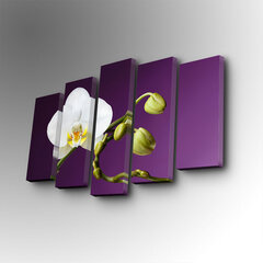 Penkių dalių reprodukcija Balta orchidėja kaina ir informacija | Reprodukcijos, paveikslai | pigu.lt