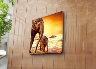 Репродукция Слоны цена и информация | Репродукции, картины | pigu.lt