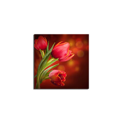 Reprodukcija Tulpės kaina ir informacija | Reprodukcijos, paveikslai | pigu.lt