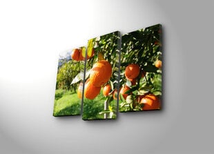 Trijų dalių reprodukcija Apelsinai kaina ir informacija | Reprodukcijos, paveikslai | pigu.lt