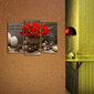 Trijų dalių reprodukcija Raudonos tulpės vazoje kaina ir informacija | Reprodukcijos, paveikslai | pigu.lt