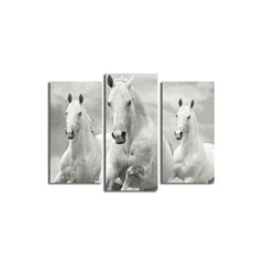 Trijų dalių reprodukcija Trys balti žirgai kaina ir informacija | Reprodukcijos, paveikslai | pigu.lt